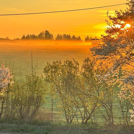 Landgasthof & Hotel Waldeck Treuen Bagian luar foto