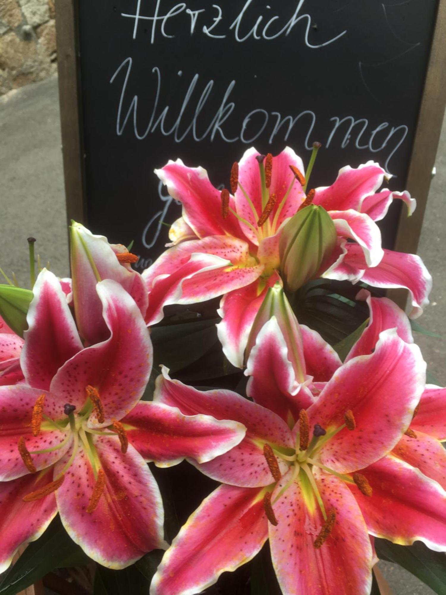 Landgasthof & Hotel Waldeck Treuen Bagian luar foto