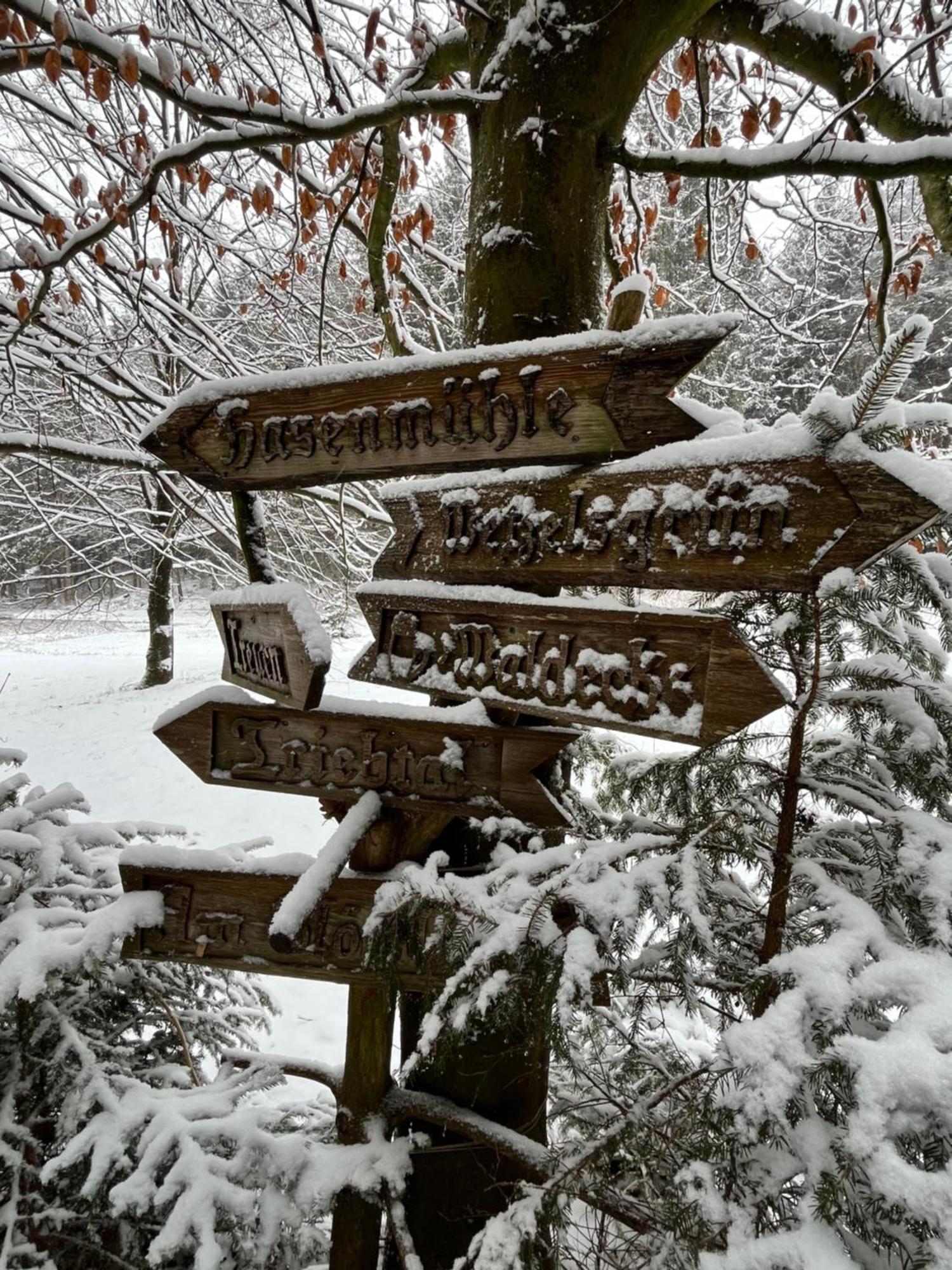 Landgasthof & Hotel Waldeck Treuen Bagian luar foto